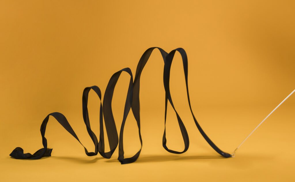 The Process of Evolution